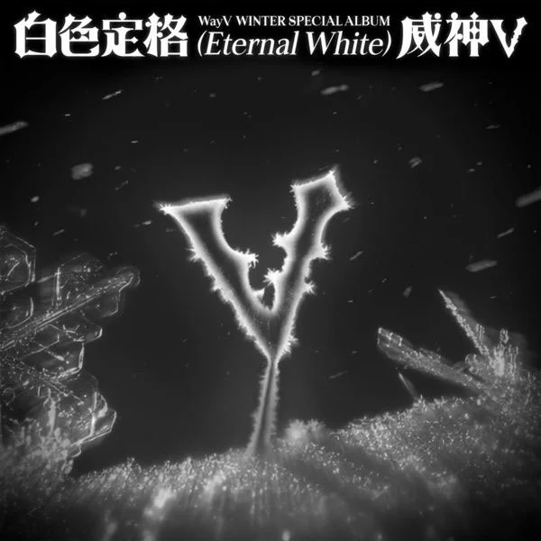威神V WayV - Eternal White [2025.12.08] [24Bit/96kHz] [Hi-Res Flac 460MB]-蓝光演唱会资源网
