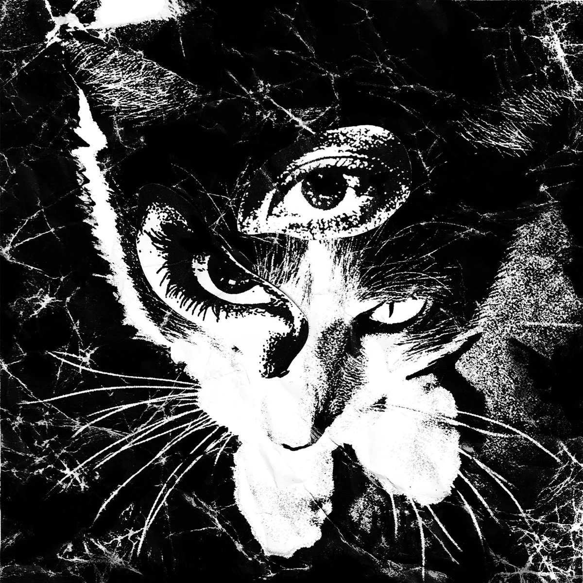 東京酒吐座 Tokyo Shoegazer - Remains+ [2026.04.22] [24Bit/96kHz] [Hi-Res Flac 783MB]-蓝光演唱会资源网