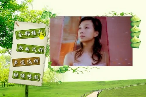 图片[3]-群星 一人一首成名曲-港台篇Ⅱ（DVD ISO 7.92GB）-蓝光演唱会资源网