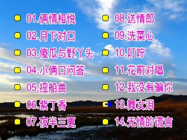 图片[2]-庄学忠 – 情歌对唱[花仙子KTV][2DVDISO][3.15G+2.68G]-蓝光演唱会资源网