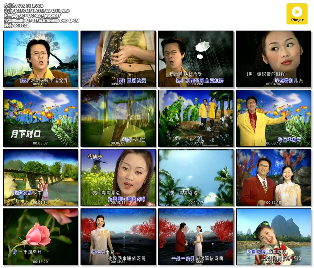 图片[4]-庄学忠 – 情歌对唱[花仙子KTV][2DVDISO][3.15G+2.68G]-蓝光演唱会资源网
