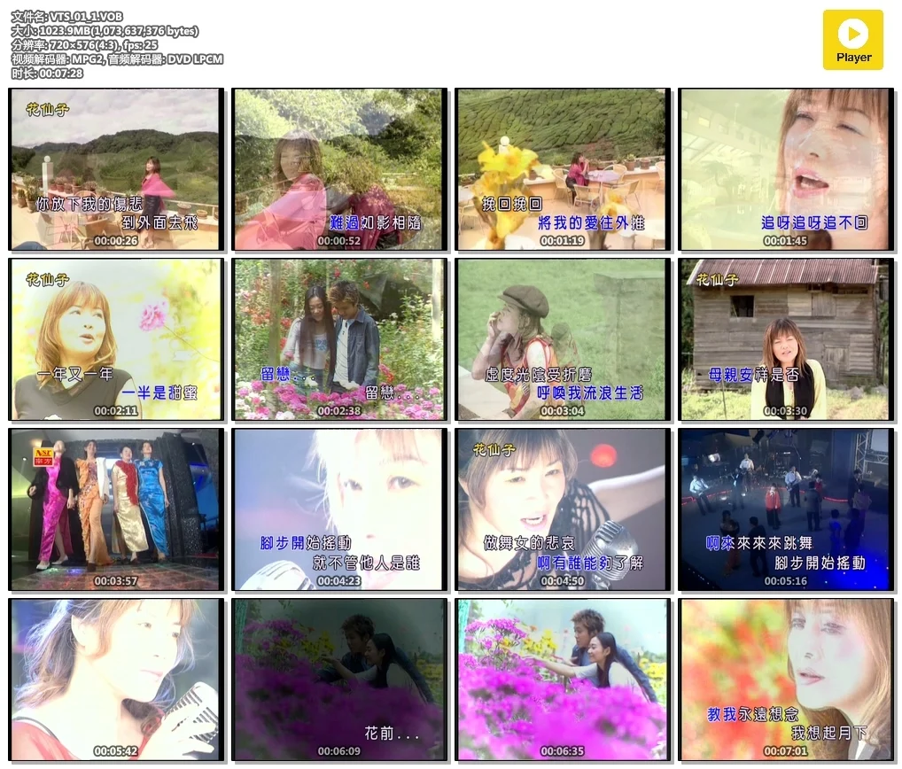 图片[3]-龙飘飘 – 龙腔雅韵 挽回(花仙子)[KTV][DVDISO3.76G]-蓝光演唱会资源网