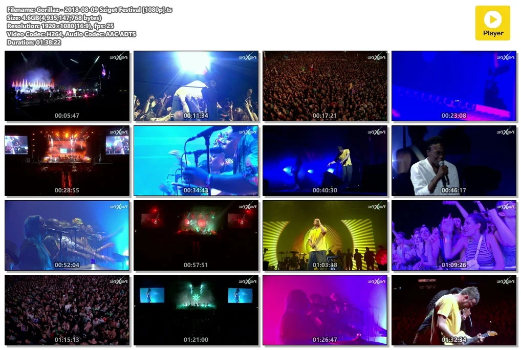 图片[5]-街头霸王 2018 布达佩斯岛节现场 Gorillaz Live at Sziget Festival Budapest 2018 1080P [HDTV TS 4.6G]-蓝光演唱会资源网