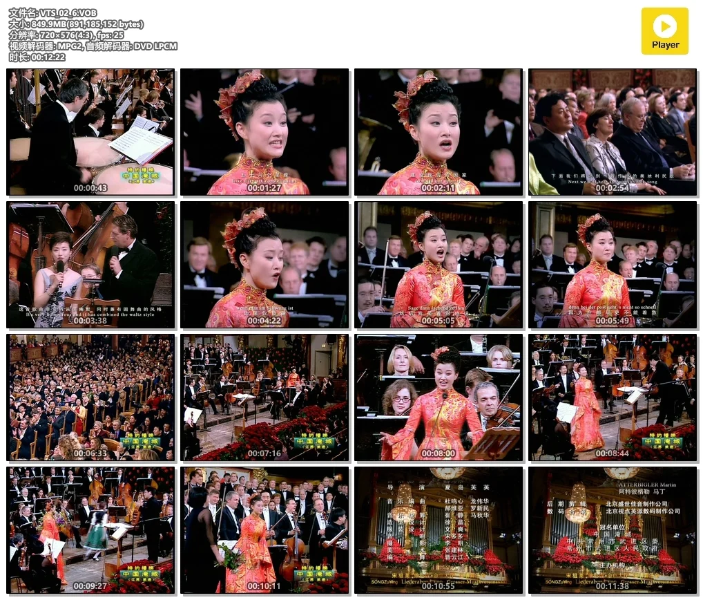 图片[6]-宋祖英 – 维也纳金色大厅独唱音乐会[2DVD-ISO5.93G+1.74G]-蓝光演唱会资源网