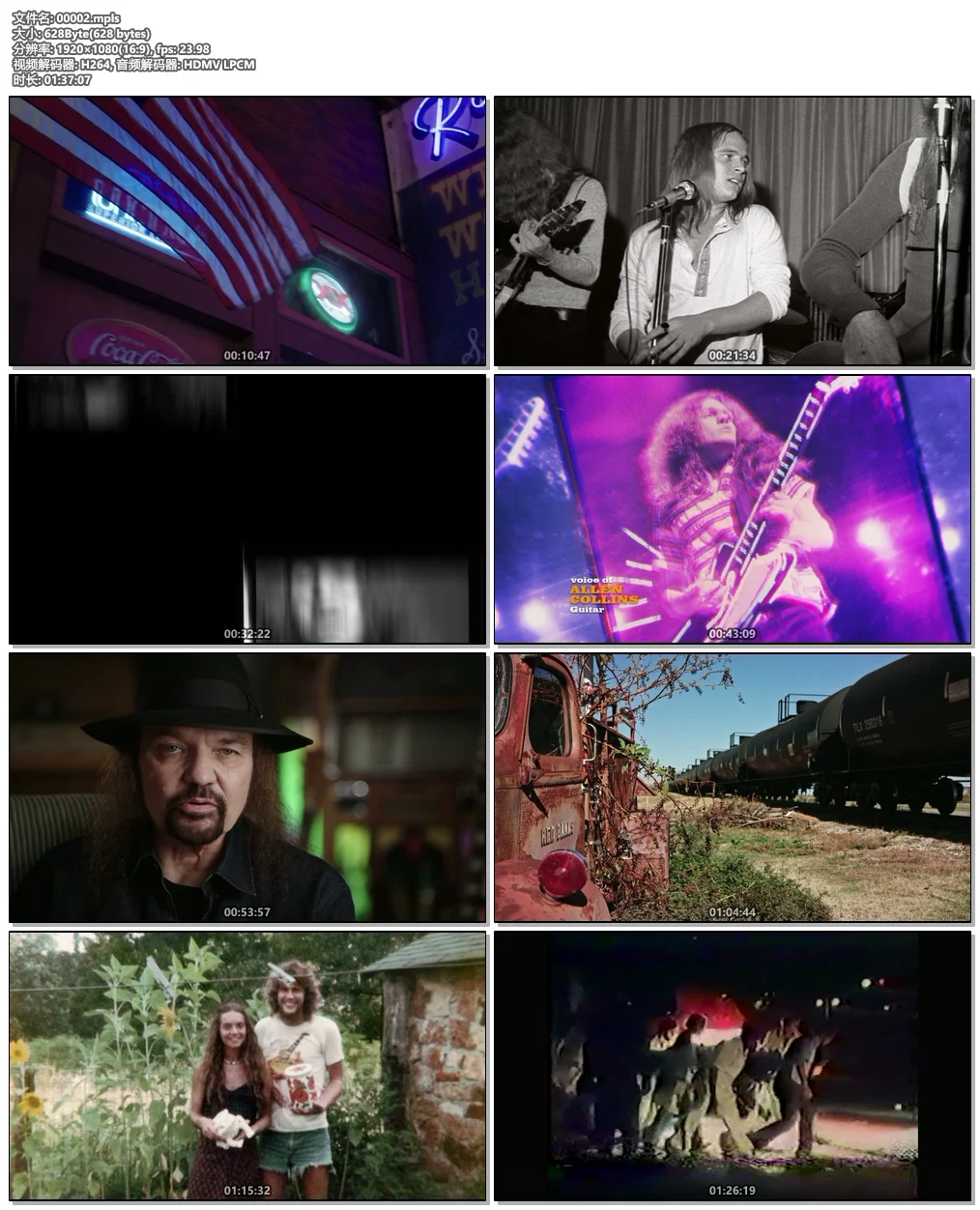 图片[5]-林纳·史金纳 音乐纪录片 Lynyrd Skynyrd – Live at Knebworth 1976 2021《BDMV 46.1G》-蓝光演唱会资源网