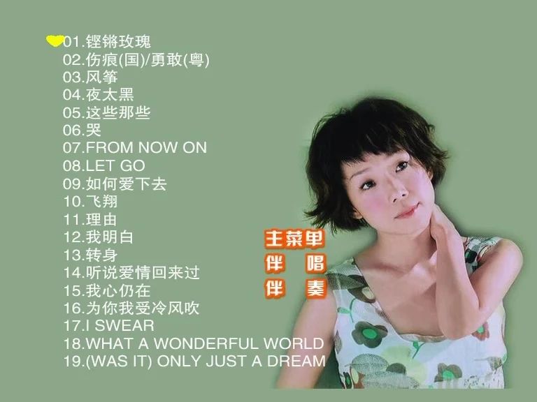 林忆莲 - 滚石原装MTV卡拉OK系列35[KTV][DVD-ISO3.95G]-蓝光演唱会资源网