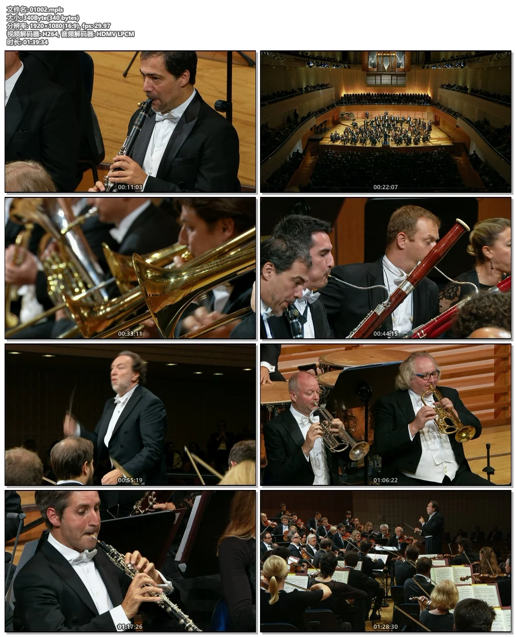 图片[6]-Mendelssohn – A Midsummer Night\’s Dream & Tchaikovsky – Manfred Symphony – Lucerne Festival Orchestra, Riccardo Chailly 2018《BDMV 21.2G》-蓝光演唱会资源网