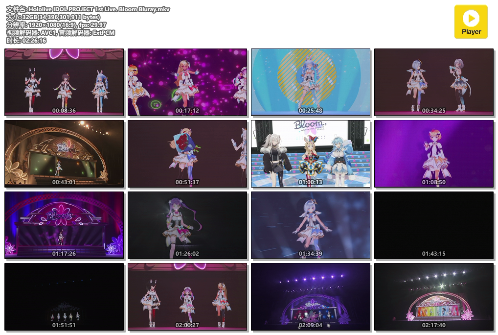 图片[2]-hololive IDOL PROJECT 1st Live 2021 Bloom《BDRip MKV 32G》-蓝光演唱会资源网