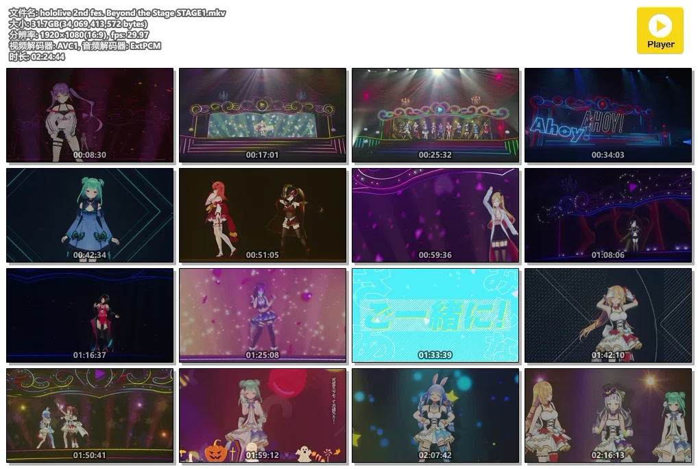 图片[2]-hololive 2nd fes. Beyond the Stage 2020《BDRip MKV 65.7G》-蓝光演唱会资源网