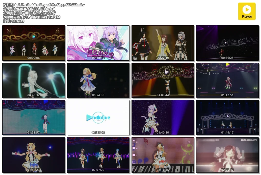 图片[3]-hololive 2nd fes. Beyond the Stage 2020《BDRip MKV 65.7G》-蓝光演唱会资源网