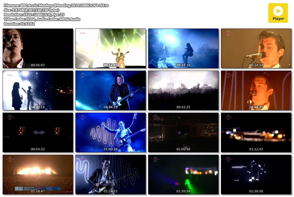 图片[6]-北极泼猴 – 2014雷丁音乐节演唱会 Arctic Monkeys at Reading 2014 [HDTV TS 5.9G]-蓝光演唱会资源网
