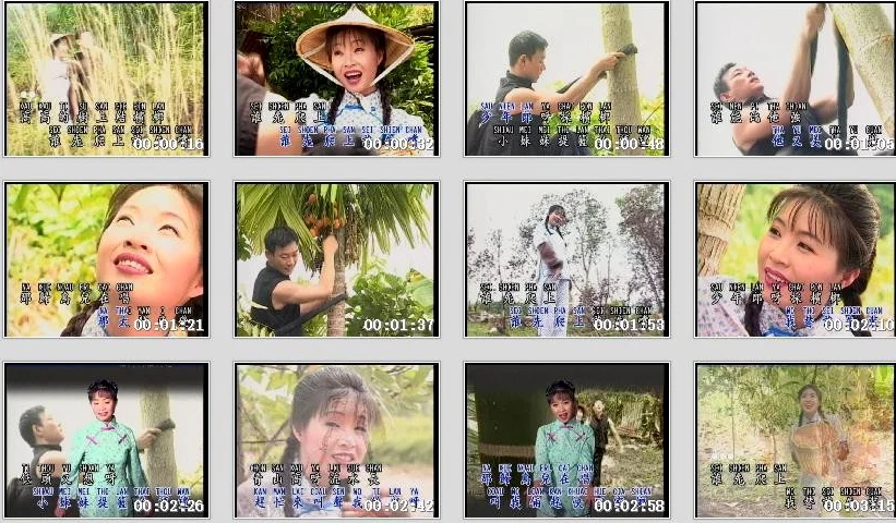 图片[2]-谢采妘 – 古典情 现代心IV 深深的恋情[KTV][DVD-ISO2.96G]-蓝光演唱会资源网