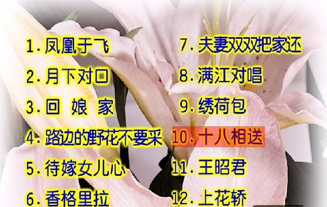 卓依婷 – 柔情小调[KTV][DVD-ISO3G]-蓝光演唱会资源网