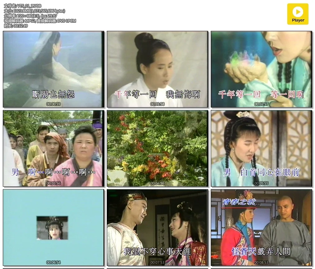 图片[2]-中华碟宝 – 青春之歌1[2DVDISO][3.63G+3.27G]-蓝光演唱会资源网
