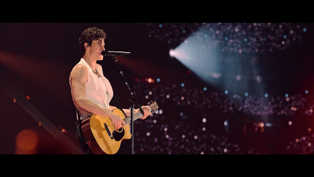 肖恩·门德斯：巡回演唱会纪实 Shawn Mendes Live in Concert 2020《WEB-DL MKV 4.04G》-蓝光演唱会资源网