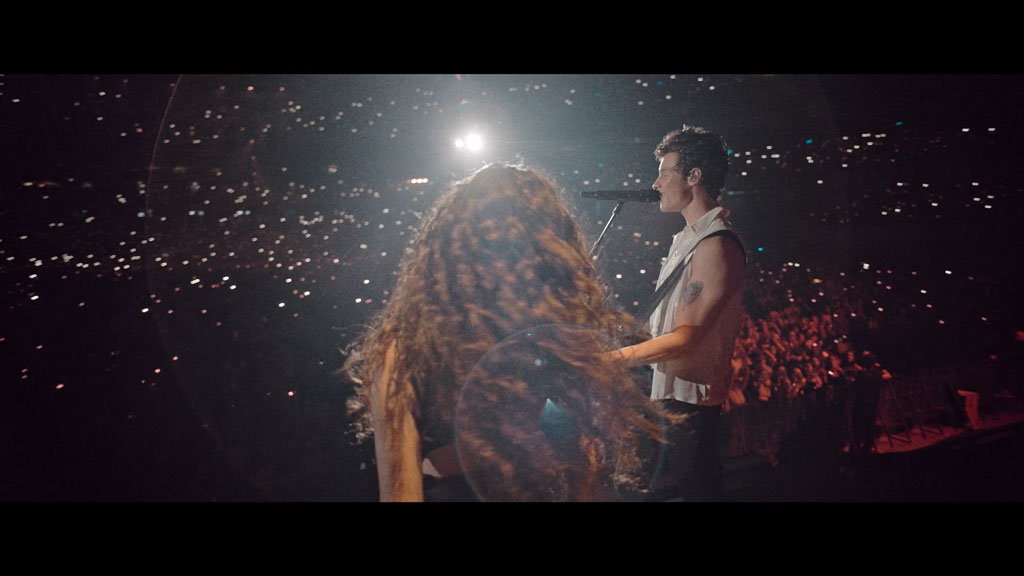 图片[2]-肖恩·门德斯：巡回演唱会纪实 Shawn Mendes Live in Concert 2020《WEB-DL MKV 4.04G》-蓝光演唱会资源网