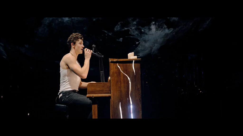 图片[3]-肖恩·门德斯：巡回演唱会纪实 Shawn Mendes Live in Concert 2020《WEB-DL MKV 4.04G》-蓝光演唱会资源网