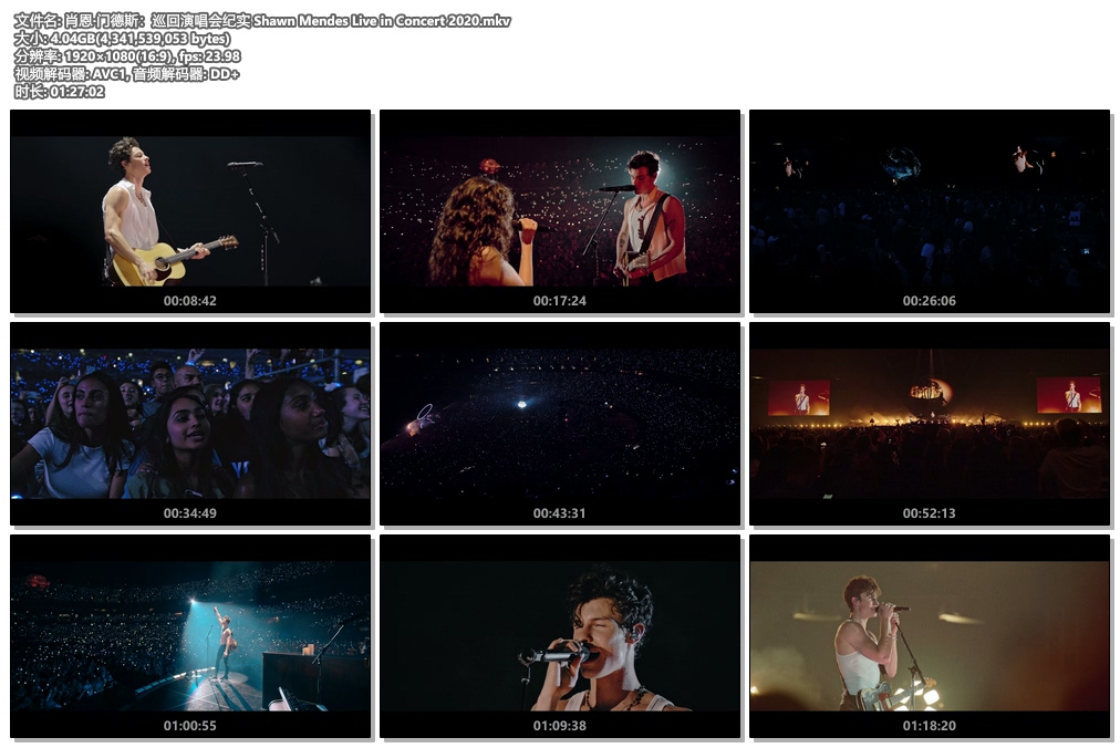 图片[4]-肖恩·门德斯：巡回演唱会纪实 Shawn Mendes Live in Concert 2020《WEB-DL MKV 4.04G》-蓝光演唱会资源网