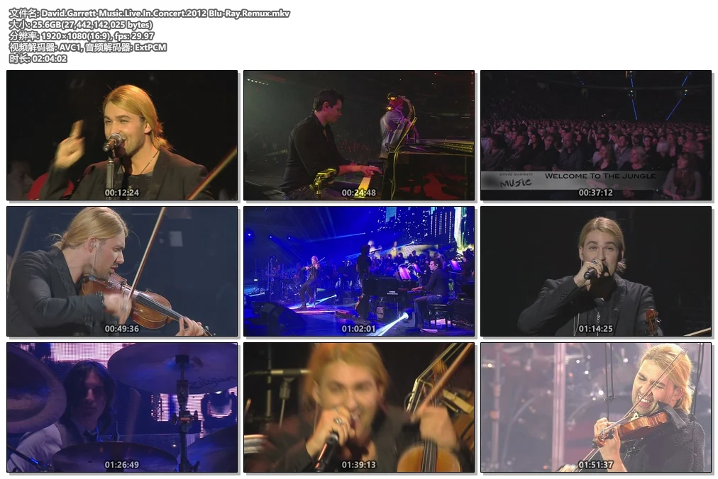 图片[4]-大卫·盖瑞 2012年现场音乐会 David Garrett Music Live In Concert 2012《Remux MKV 24.79G 》-蓝光演唱会资源网