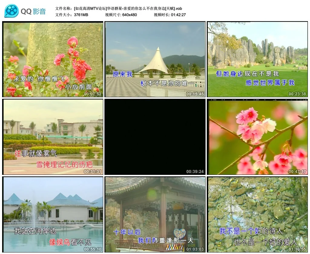 华语群星 – 亲爱的你怎么不在我身边(天赋)[DVD/ISO][3.77G]-蓝光演唱会资源网