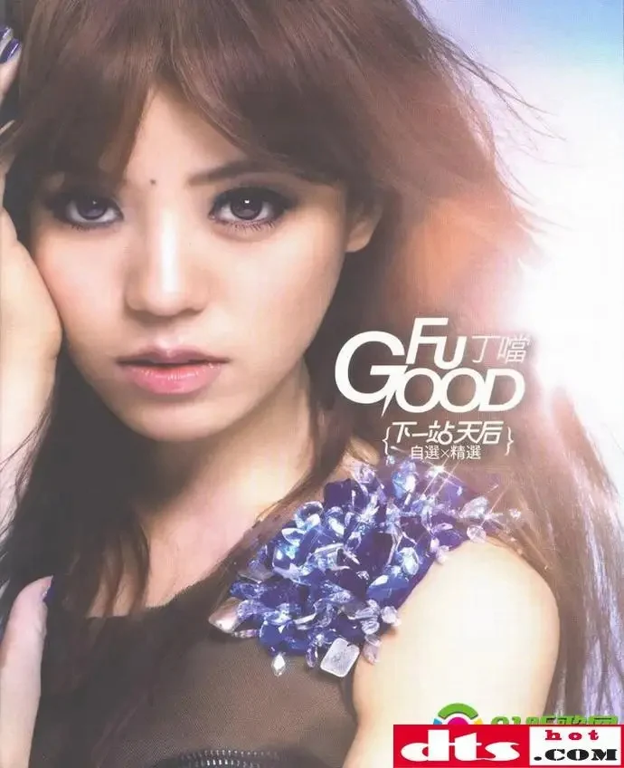 丁当 – Fu Good 下一站 天后 内地版 [DVD-ISO2.56GB]-蓝光演唱会资源网