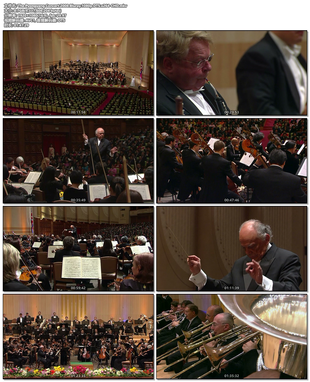 图片[5]-The Pyongyang Concert 2008《BDrip MKV 8.79G》-蓝光演唱会资源网