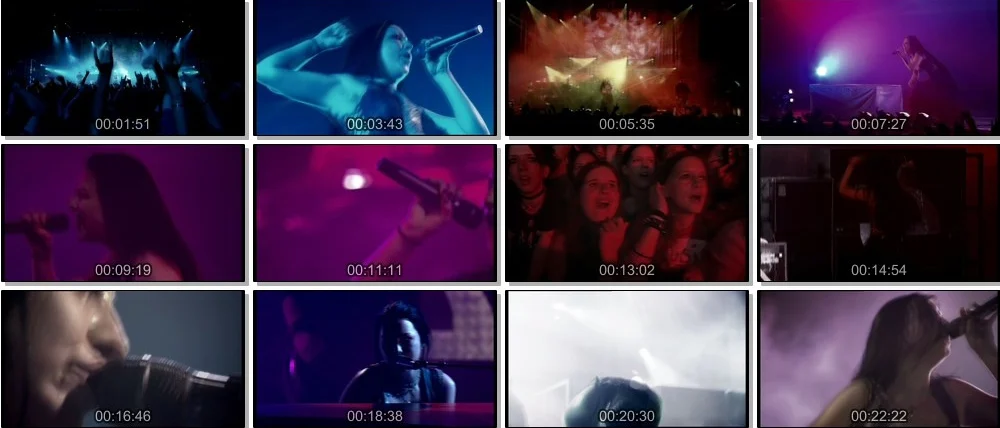 图片[2]-伊凡·塞斯Evanescence:巴黎演唱会（DVD-ISO4.36G）-蓝光演唱会资源网