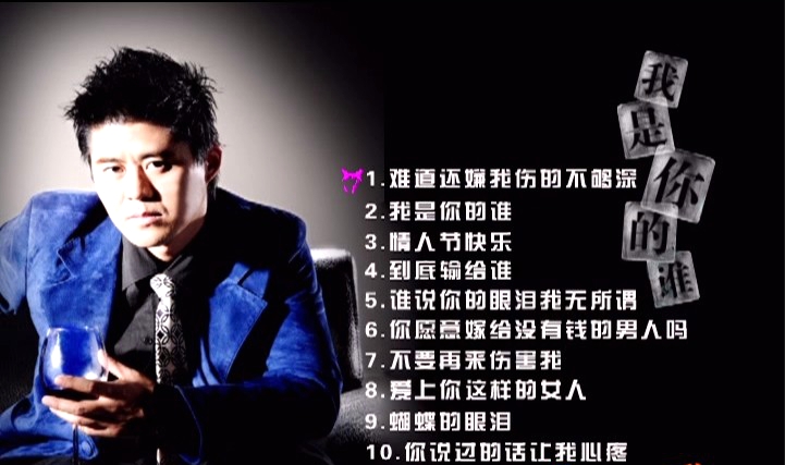 张振宇 – 我是你的谁 卡拉OK[KTV][DVDISO][2.18G]-蓝光演唱会资源网