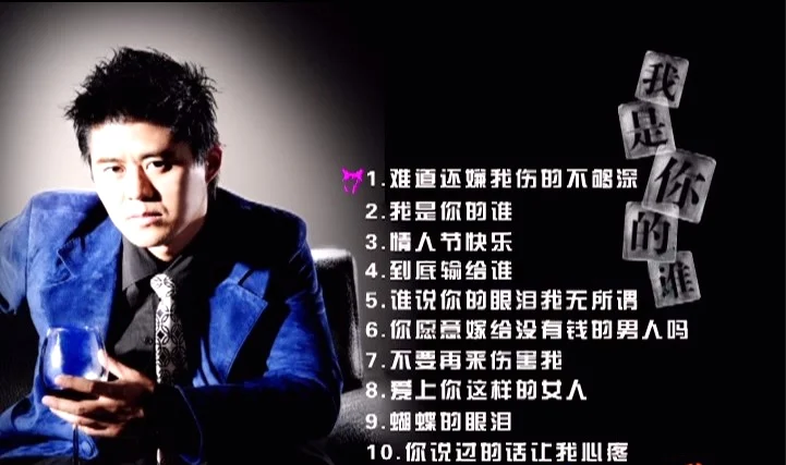 张振宇 – 我是你的谁 卡拉OK[KTV][DVDISO][2.18G]-蓝光演唱会资源网