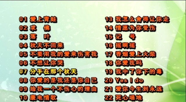 群星 – 2007-2008当红金曲[KTV][DVDISO][4.27G]-蓝光演唱会资源网