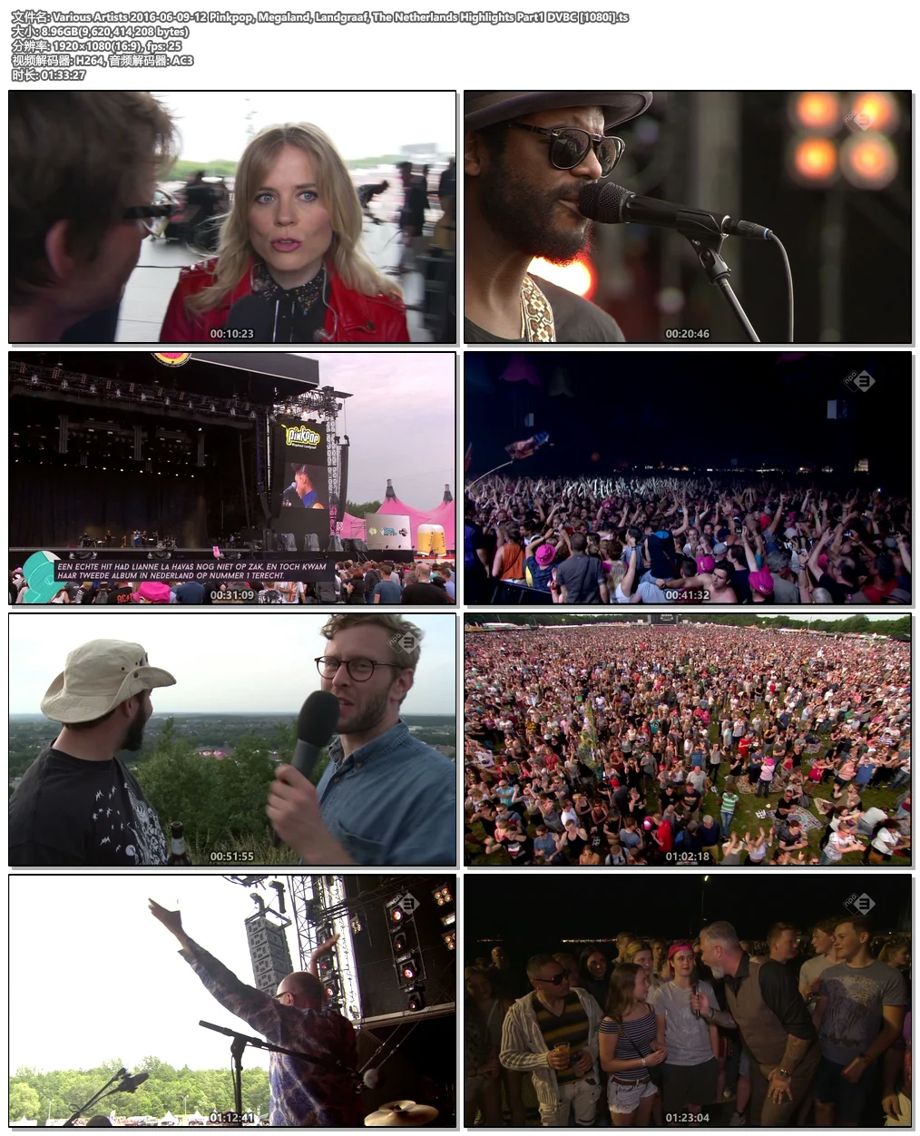 图片[5]-Various Artists – Pinkpop Festival 2016 Highlights 1080i《HDTV TS 32.7G》-蓝光演唱会资源网