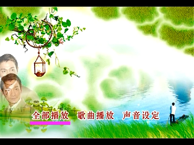 刘德华 - 国语卡拉OK精选[DVD-ISO7.74G]-蓝光演唱会资源网