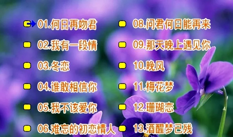 刘秋仪 – 冬恋[KTV][2DVDISO][3.09G+3.17G]-蓝光演唱会资源网
