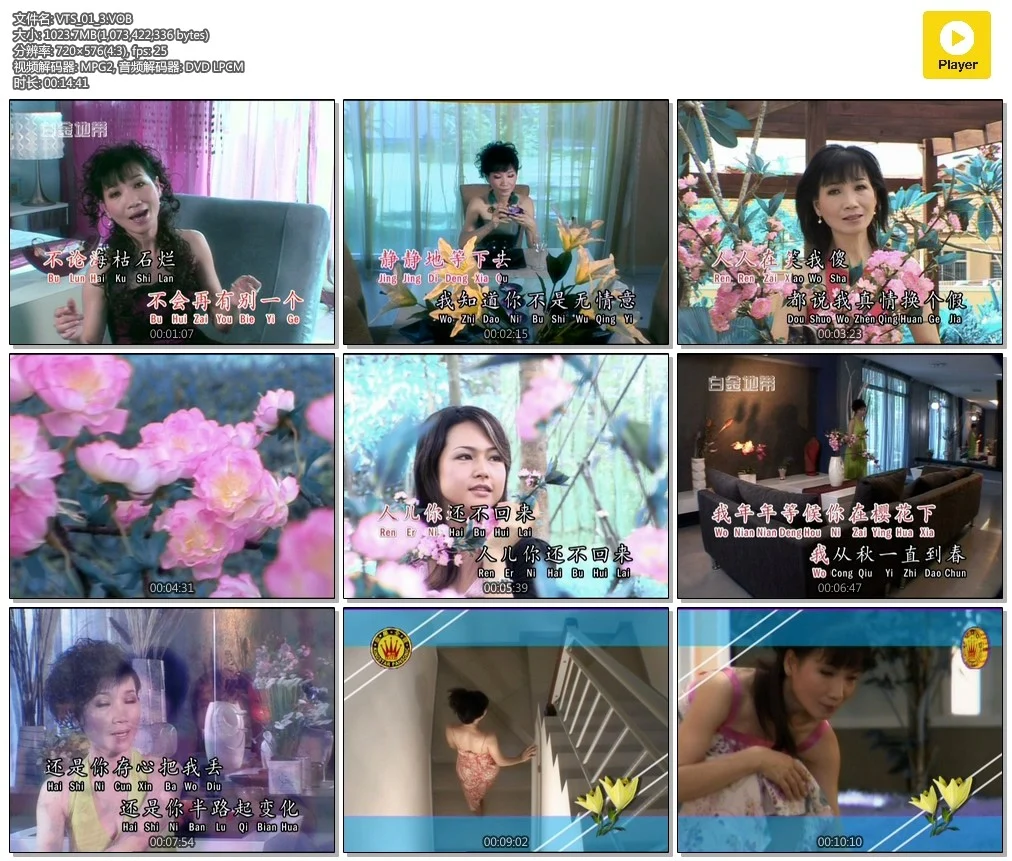 图片[5]-刘秋仪 – 冬恋[KTV][2DVDISO][3.09G+3.17G]-蓝光演唱会资源网