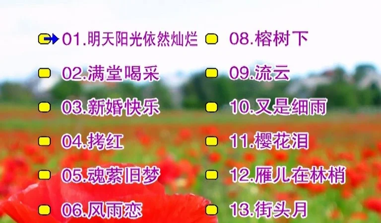 图片[2]-刘秋仪 – 冬恋[KTV][2DVDISO][3.09G+3.17G]-蓝光演唱会资源网