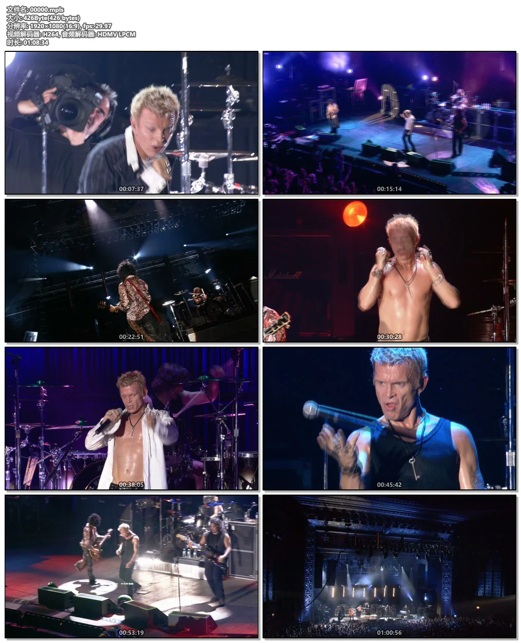 图片[6]-比利·爱多尔 Billy Idol – In Super Overdrive Live 2009《BDMV 20.7G》-蓝光演唱会资源网
