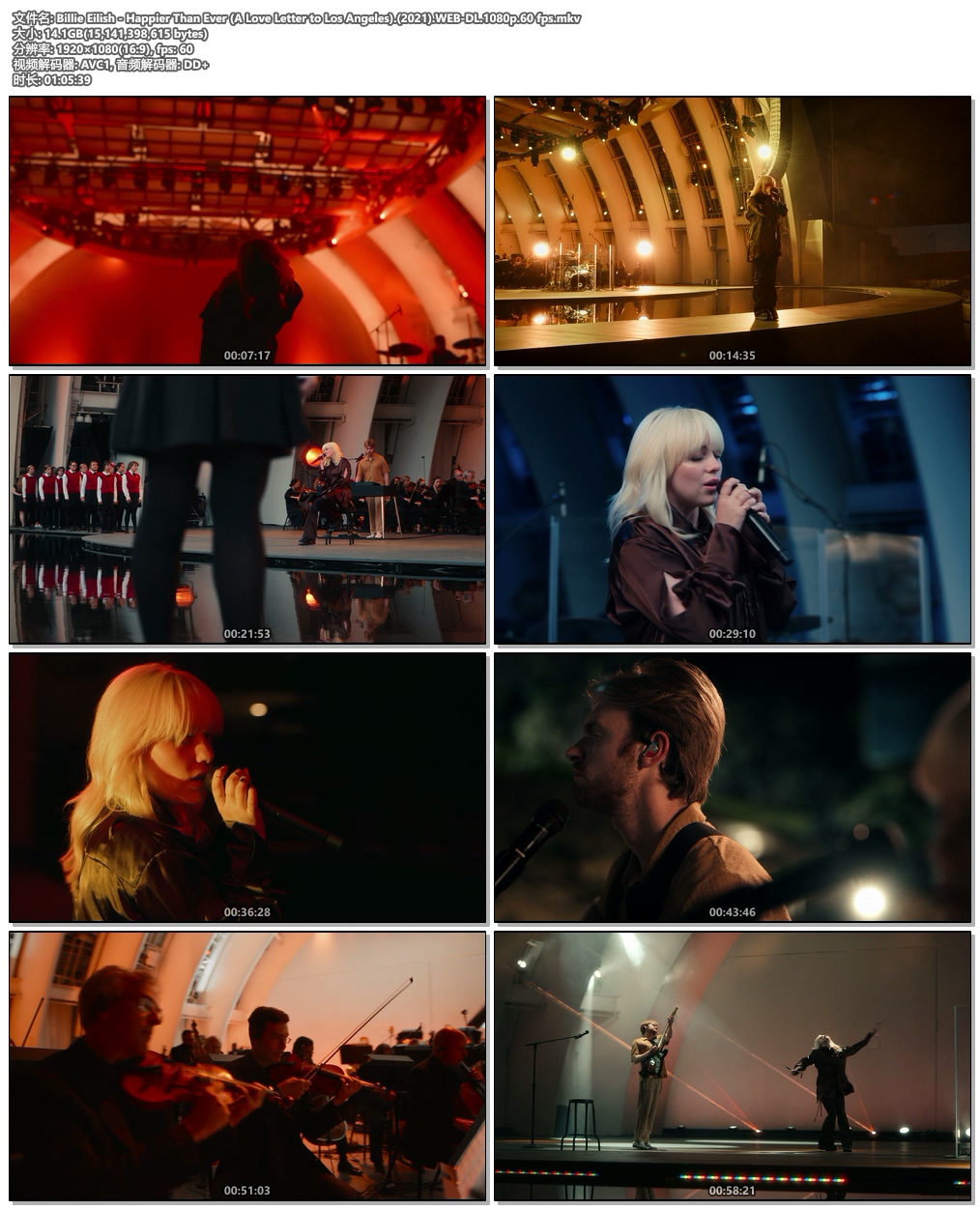 图片[5]-比莉·艾利什 Billie Eilish – Happier Than Ever (A Love Letter to Los Angeles) 2021《WEB-DL MKV 14.1G》-蓝光演唱会资源网