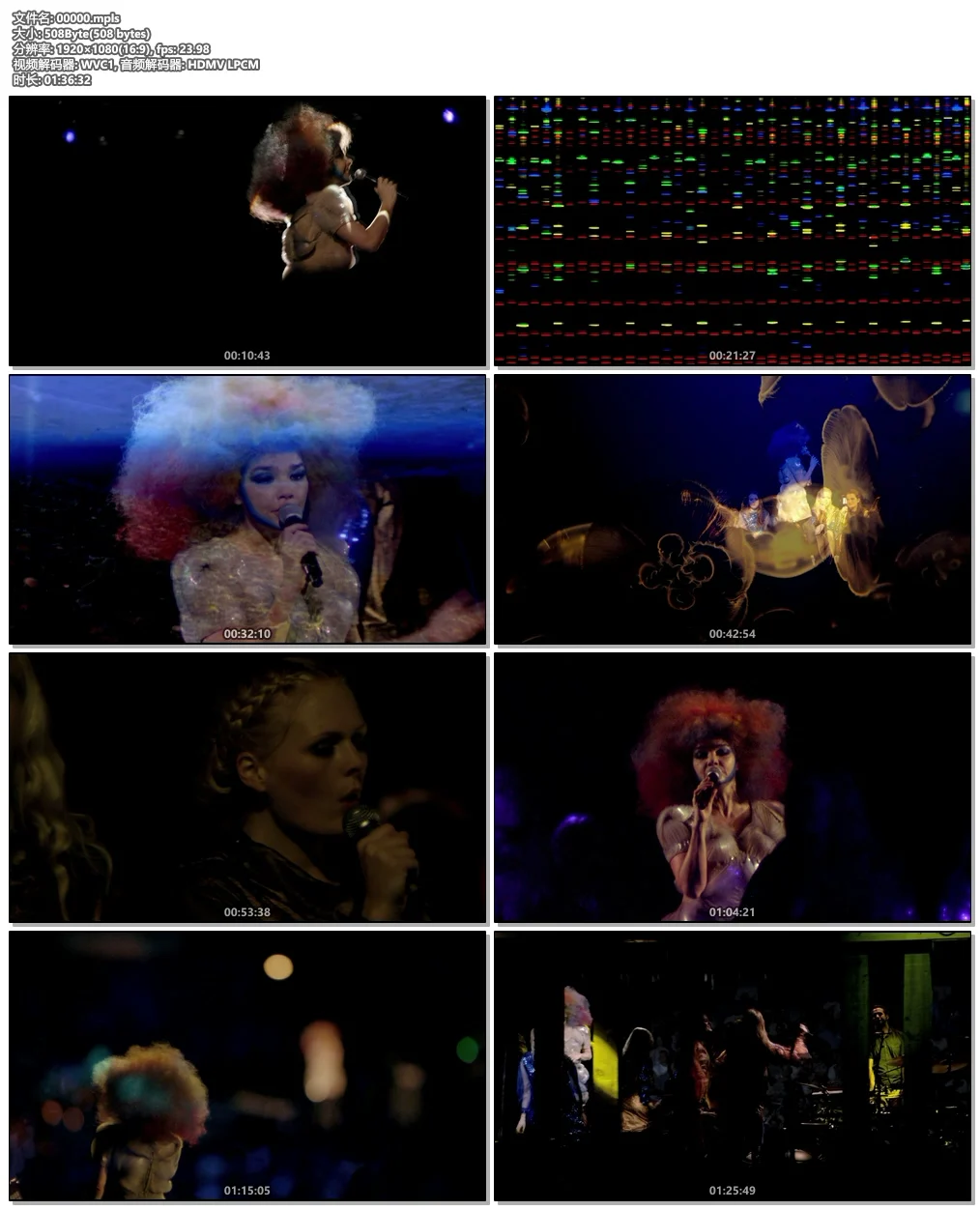 图片[5]-比约克 Björk Biophilia Live 2014《BDMV 22.7G》-蓝光演唱会资源网