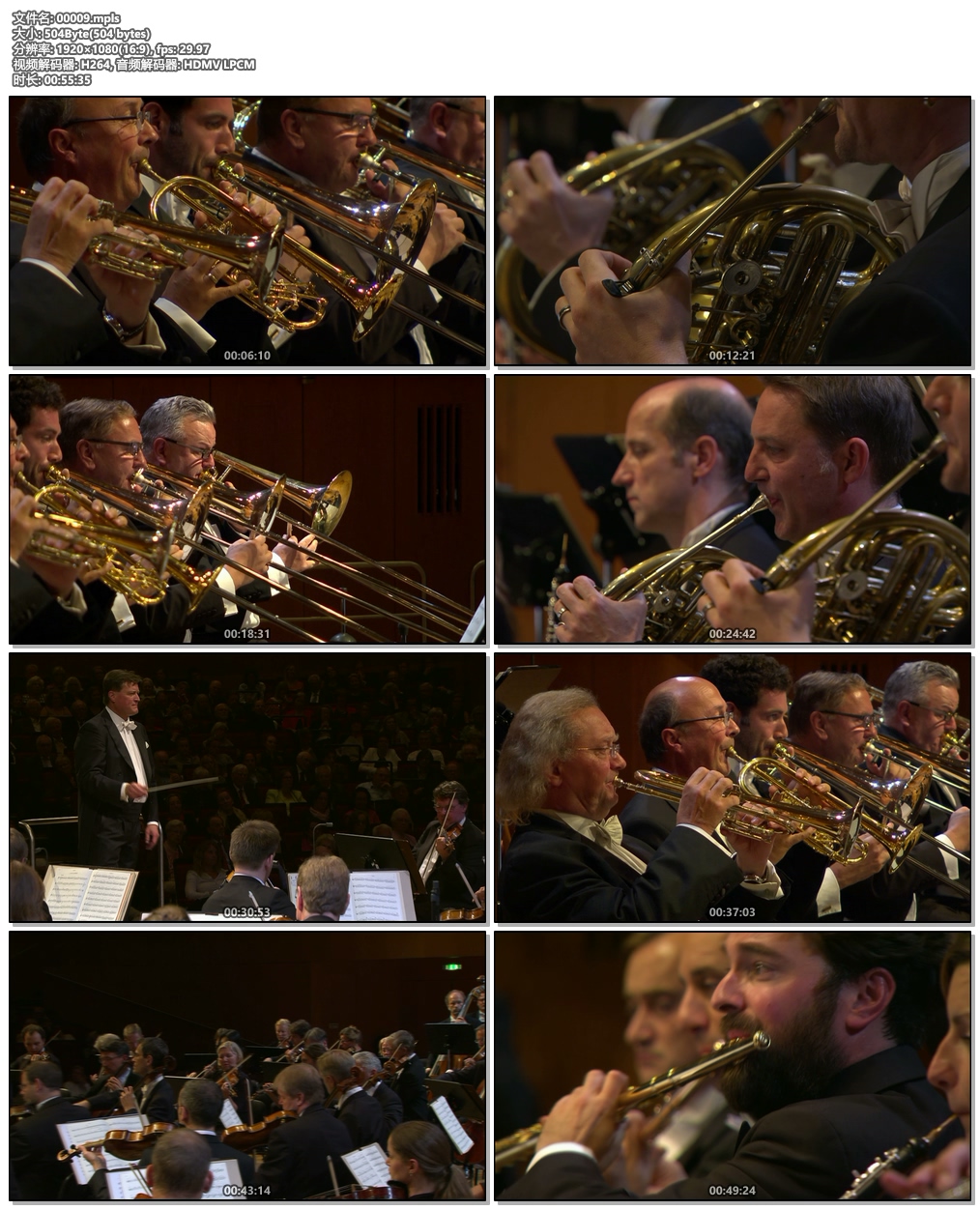 图片[6]-Bruckner Symphonies Nos. 1-9. Staatskapelle Dresden, Christian Thielemann 2021《BDMV 9BD 176G》-蓝光演唱会资源网