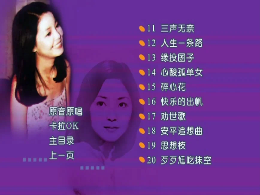 图片[3]-邓丽君 – 闽南名曲精选 卡拉OK [KTV] [DVD ISO 3.95G]-蓝光演唱会资源网