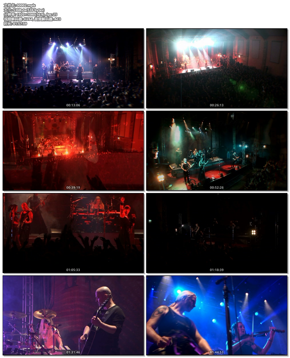 图片[6]-Subway to Sally Schlachthof Bastard Tour 2008《BDMV 21.7G》-蓝光演唱会资源网
