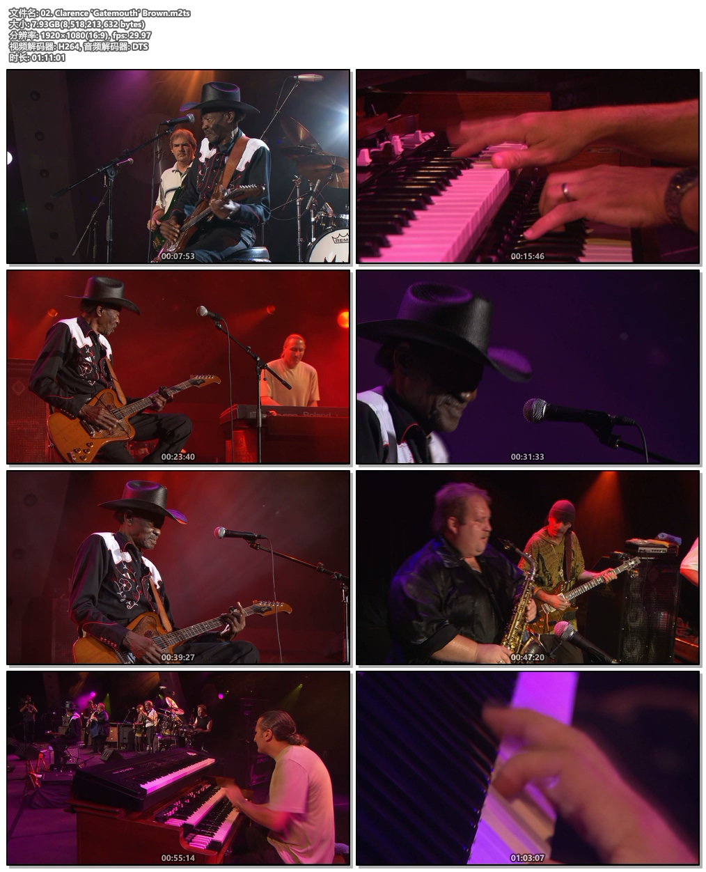 图片[4]-VA – Carlos Santana Presents – Blues at Montreux 2004《BDrip MKV 23.8G》-蓝光演唱会资源网