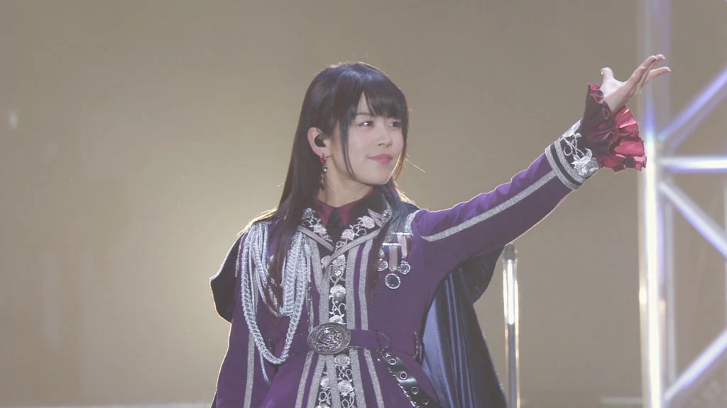 图片[5]-BanG Dream! – R (Roselia) 付属BD 2018《BDMV 11.3GB》-蓝光演唱会资源网