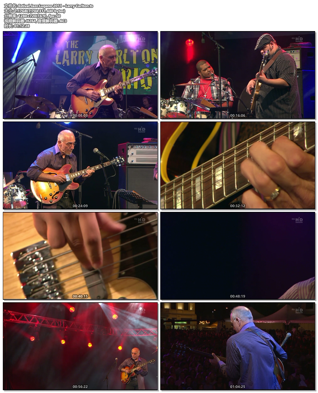 图片[4]-Estival Jazz Lugano 2011 – Larry Carlton《HDTV TS 7.17》-蓝光演唱会资源网