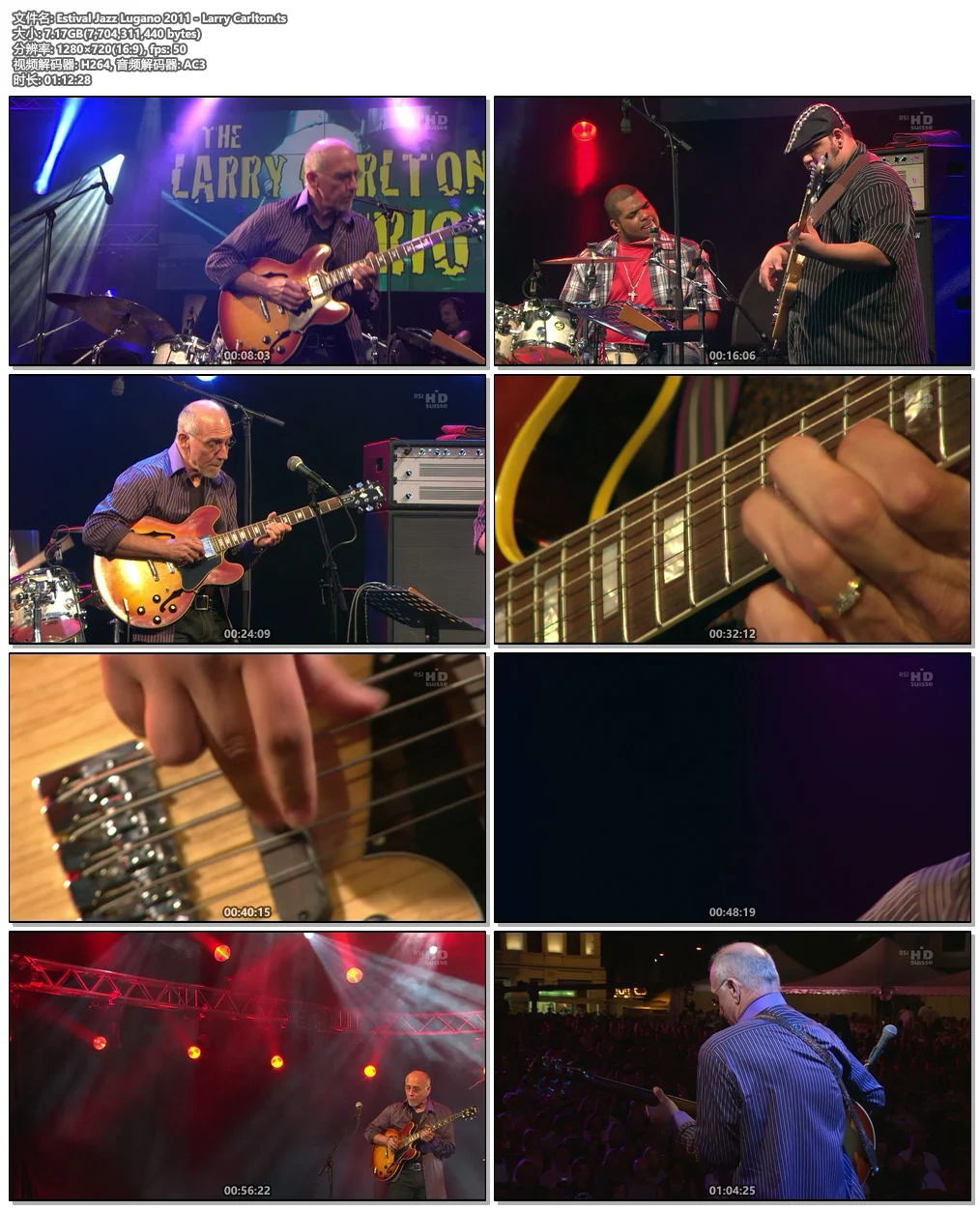 图片[4]-Estival Jazz Lugano 2011 – Larry Carlton《HDTV TS 7.17》-蓝光演唱会资源网
