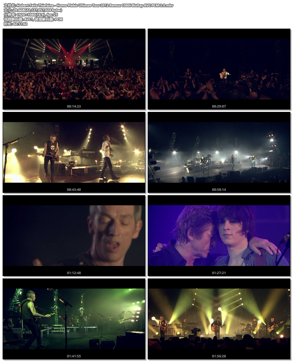 图片[5]-Hubert-Felix Thiefaine – Homo Plebis Ultimae Tour 2012《Remux MKV 20.06G》-蓝光演唱会资源网