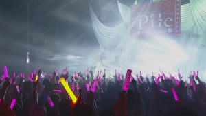 图片[4]-Pile 2015 Pinky Parade Tour ディファ有明公演《ISO 22.07GB》-蓝光演唱会资源网