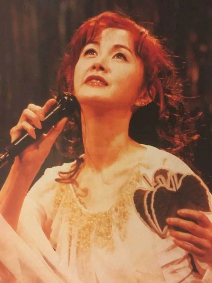 中岛美雪 Nakajima Miyuki – 中岛みゆきプロモ集13曲＋黒部（DVD ISO 4.36）-蓝光演唱会资源网