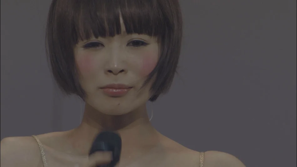 图片[2]-椎名林檎 Sheena Ringo LiVE Blu-ray BOX 十五周年记念蓝光合集《BDMV 8BD 190G》-蓝光演唱会资源网