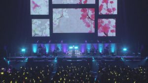 图片[5]-Pile 2017 武道馆演唱会 《BDMV 44.14》-蓝光演唱会资源网